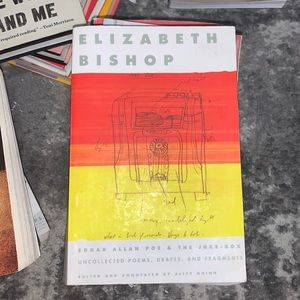 Edgar Allan Poe & The Juke-box by Elizabeth Bishop